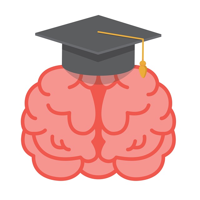 mozek studenta