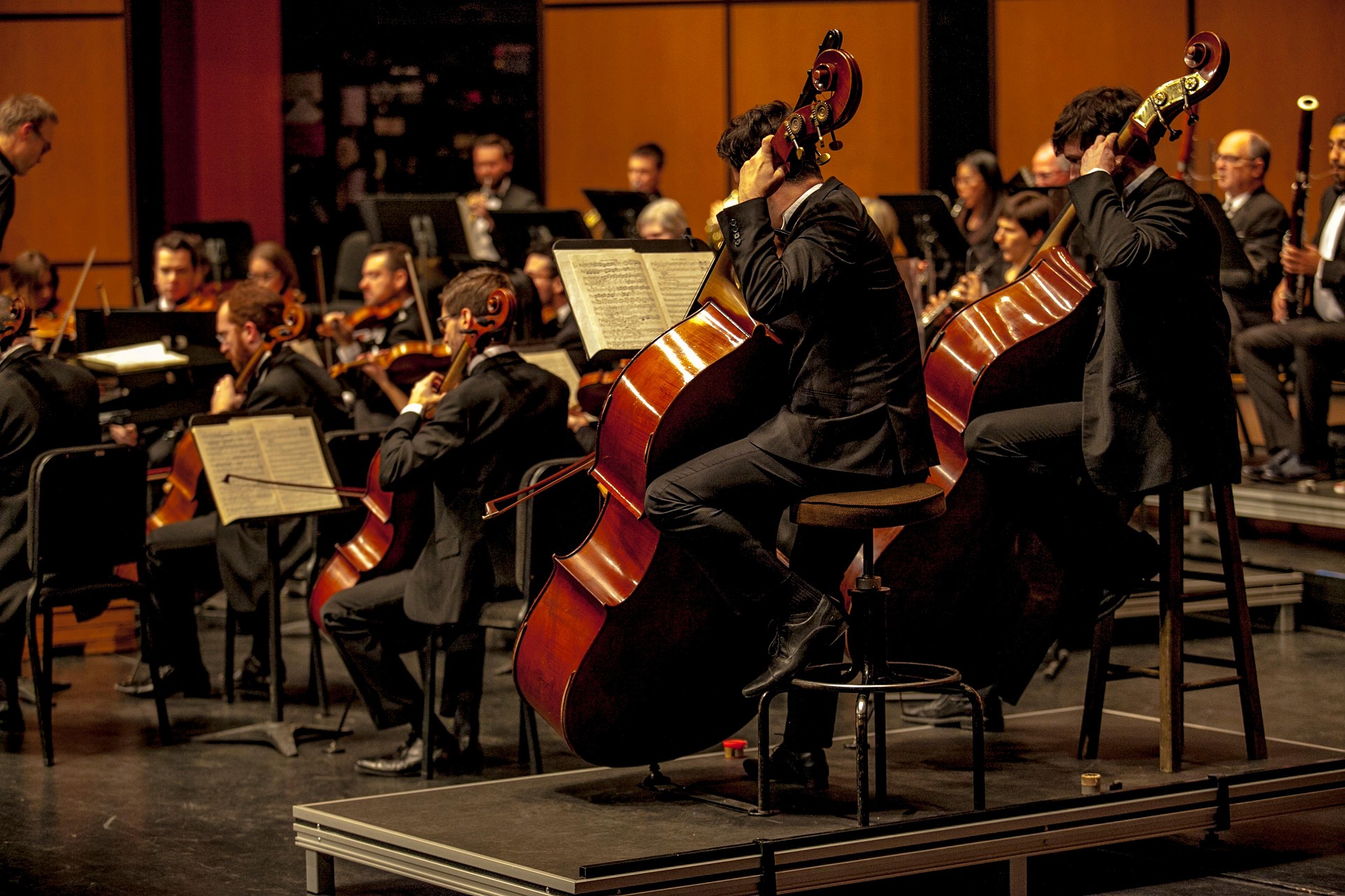 orchestr